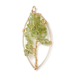 Peridot Natural Peridot Chip Pendants, Golden Plated Brass Leaf Charms, 35~37x17~19x4.5~6.5mm, Hole: 3.3mm
