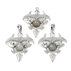 Лабрадорита Подвески-треугольники из натурального лабрадорита, подвески из латунных камней, платина, стойки покрытие, 41.5x34.5x5.5~7 мм, отверстие : 8.5x5.5 мм