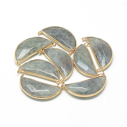 Light Grey Natural Labradorite Pendants, with Brass Findings, Faceted, Pea, Golden, Light Grey, 36x20x6~7mm, Hole: 2mm