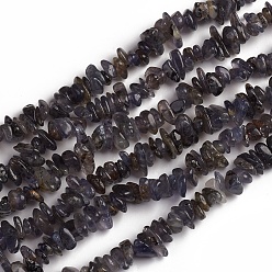Iolite Natural Iolite Beads Strands, Chip, 1.5~4.5x6.5~11.5mm, Hole: 1mm, about 33.39 inch(84.8cm)