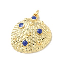 Синий Латунь эмаль подвески, с прыжковых колец, реальный 18 k позолоченный, подвески в форме ракушек, синие, 30x28x7 мм, отверстие : 3 мм