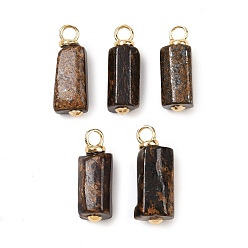 Бронзит Подвески-прямоугольники из натурального бронзита, с латунной фурнитурой , реальный 18 k позолоченный, без кадмия и без свинца, стойки покрытие, долговечный, 18~20x7~8x7~8 мм, отверстие : 3 мм