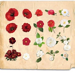 Flower 20Pcs Retro Story PET Waterproof Stickers, Flower Plant Floral Decals for DIY Scrapbooking, Flower, 17~82mm