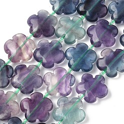 Флюорит Естественных цветов радуги флюорита бисер пряди, 15x5.5 мм, отверстие : 1 мм, около 27 шт / нитка, 16.53 дюйм