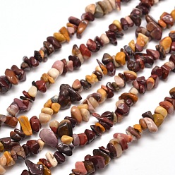 Mokaite Mookaite naturelle brins puce de perles, 5~8x5~8mm, Trou: 1mm, environ 31.5 pouce