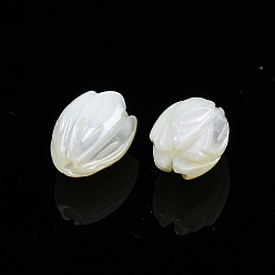 White Natural Trochid Shell/Trochus Shell Beads, Flower, White, 10x7.5mm, Hole: 1mm