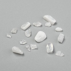 White Moonstone Natural White Moonstone Chip Beads, No Hole/Undrilled, 3~9x1~4mm