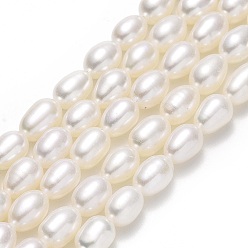 Linen Natural Cultured Freshwater Pearl Beads Strands, Rice, Linen, 7~8x5~5.5mm, Hole: 0.8mm, about 42~46pcs/strand, 14.37''(36.5cm)
