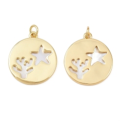 Морская звезда Природные подвески оболочки, латунные полые плоские круглые подвески с соединительными кольцами, реальный 18 k позолоченный, без свинца и без кадмия, долговечный, стойки покрытие, цвет морской раковины, морская звезда, 23x20.5x2 мм, отверстие : 3.4 мм