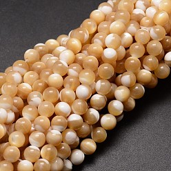 Light Salmon Natural Sea Shell Beads Strands, Round, Light Salmon, 8mm, Hole: 0.8mm, about 51pcs/strand, 15.75 inch