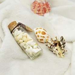 Floral White Glass Wishing Bottles, with Shell, Noctilucent powder and Wishing Paper Inside, Floral White, 77x27mm
