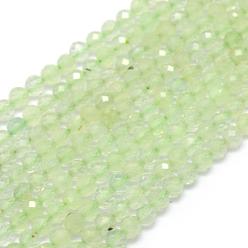 Prehnite Natural Prehnite Beads Strands, Faceted, Round, 3mm, Hole: 0.5mm, about 113pcs/strand, 15.35 inch(39cm)
