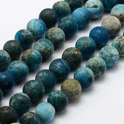 Apatite Natural Apatite Beads Strands, Round, Frosted, 5.5~6mm, Hole: 1mm, about 63pcs/strand, 15 inch~15.3 inch