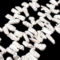 Морская Ракушка Природные Кеши жемчуг пряди, культивированный пресноводный жемчуг, чип, цвет морской раковины, 16~32x4~9x24 мм, отверстие : 0.6 мм, около 80~84 шт / нитка, 14.96 дюйм (38 см)