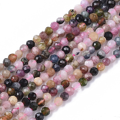 Tourmaline Natural Tourmaline Beads Strands, Faceted, Round, 2mm, Hole: 0.4mm, about 182~183pcs/strand, 15.55 inch(39.5cm)