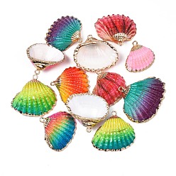 (52) Непрозрачная лаванда Аэрозольная краска и гальванические подвески с морскими раковинами, с железной фурнитурой, золотой свет, разноцветные, 19~28x20~30x7~11 мм, отверстие : 2 мм