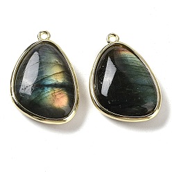 Labradorite Natural Labradorite Pendants, with Golden Plated Brass Edge Loops, Faceted, Triangle, 27x18x7.5mm, Hole: 1.6mm
