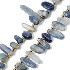 Kyanite Natural Kyanite Cyanite Disthene Beads Strands, Nuggets, with Seed Beads, Top Drilled, Tumbled Stone, 10~20x5~10x4~8mm, Hole: 1mm, about 50~52pcs/strand, 15.35''(39cm)