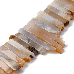Дендритный Агат Нити из натурального дендритного агата, 25~73x5~12x6~10 мм, отверстие : 1 мм, около 40 шт / нитка, 15.3 дюйм