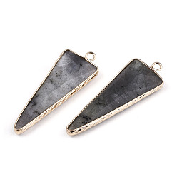 Black Moonstone Natural Black Moonstone Pointed Pendants, with Light Gold Plated Brass Edge and Loop, Triangle, Faceted, 45.5x16.5x6~7mm, Hole: 2.5mm