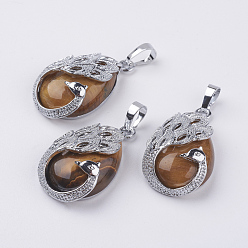 Tiger Eye Natural Tiger Eye Pendants, with Brass Finding, Teardrop with Peacock, Platinum, 33x20x10.5mm, Hole: 5x6.5mm
