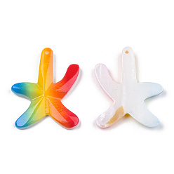 Rainbow Printed Natural Freshwater Shell Pendants, Starfish Charms, Colorful, Rainbow Pattern, 38~40x29.5~30.5x4~5mm, Hole: 1.5mm
