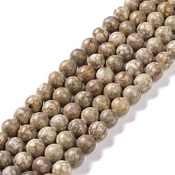 Maifanite Natural Maifanite/Maifan Stone Beads Strands, Round, 10mm, Hole: 1mm, about 38pcs/strand, 15.1 inch(38.4cm)