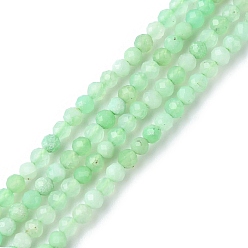 Chrysoprase Natural Chrysoprase Beads Strands, Faceted, Round, 2~2.5mm, Hole: 0.7mm, about 169pcs/strand, 15.35 inch(39cm)