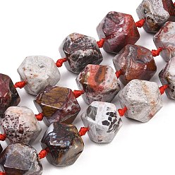 Натуральный Агат Нити из натурального мексиканского агата/агатового кружева, граненые, ромб, 14~14.5x13.5~14x13.5~14 мм, отверстие : 1.2 мм, около 21~22 шт / нитка, 16.14~17.13'' (41~43.5 см)