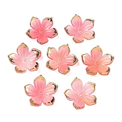 Помидор Непрозрачные акриловые колпачки шарик, цветок, с золотым краем, помидор, 22.5~23x23.5~24x5 мм, отверстие : 1.4 мм, Около 1020 шт / 500 г