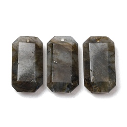 Лабрадорита Природные подвески лабрадорита, граненые прямоугольные подвески, 28x15x7 мм, отверстие : 1.4 мм