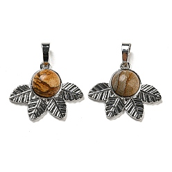 Пейзажный Джаспер Естественного изображения яшмы подвески, стойки покрытие латунь лист прелести, платина, без кадмия и без свинца, 22x27x7 мм, отверстие : 8x5 мм