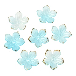 Светло-Голубой Непрозрачные акриловые колпачки шарик, цветок, с золотым краем, Небесно-голубой, 22.5~23x23.5~24x5 мм, отверстие : 1.4 мм, Около 1020 шт / 500 г