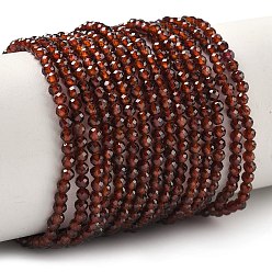 Гранат Гранат природный бисер нитей, граненые, круглые, 3 мм, отверстие : 0.8 мм, около 125~126 шт / нитка, 15.75'' (40 см)