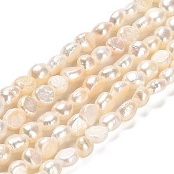 Seashell Color Natural Cultured Freshwater Pearl Beads Strands, Grade AAA, Two Sides Polished, Seashell Color, 5.5~6.5x4~5mm, Hole: 0.5mm, about 62pcs/strand, 14.17~14.37''(36~36.5cm)