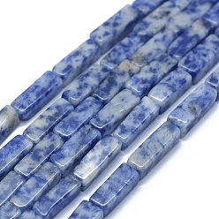 Jaspe Avec Point Bleu Perles de jaspe tache bleue naturelle, cuboïde, 12.5~13.5x3~5x3~4.5mm, Trou: 1mm, Environ 30~32 pcs/chapelet, 15.1~15.9 pouce (38.5~40.5 cm)