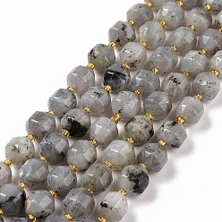 Labradorite Natural Labradorite Beads Strands, with Seed Beads, Faceted Bicone Barrel Drum, 9.5x8.5mm, Hole: 1.2mm, about 31pcs/strand, 14.17 inch(36cm)