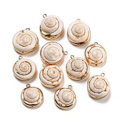 Golden Natural Conch Shell Pendants, Flat Round Charms with Brass Edge, Golden, 21~22.5x18~19.5x9.5~15mm, Hole: 1.6mm