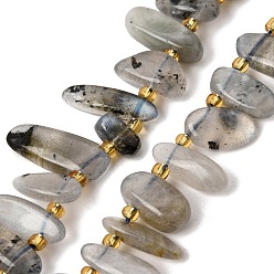 Labradorite Natural Labradorite Beads Strands, Nuggets, with Seed Beads, Top Drilled, Tumbled Stone, 10~20x5~10x4~8mm, Hole: 1mm, about 51~56pcs/strand, 15.35''(39cm)