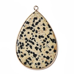 Далматинских Джаспер Натуральные далматинские яшмы большие подвески, Подвески-капли в позолоченной латунной оправе, 54.5~55x35.5x3 мм, отверстие : 2 мм