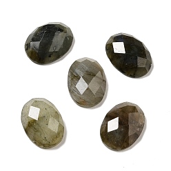 Labradorite Natural Labradorite Cabochons, Faceted, Oval, 18x13x6mm