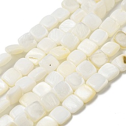 Ghost White Natural Freshwater Shell Beads Strands, Square, Ghost White, 6~6.5x5.5~6x2.5~3mm, Hole: 0.8mm, about 61~62pcs/strand, 14.17~14.49 inch(36~36.8cm)