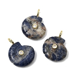 Содалитовое Резные подвески из натурального содалита, Подвески в форме раковины с латунными микропаве из прозрачных кубических цирконий., золотые, стойки покрытие, 34x25~26x10 мм, отверстие : 3.5 мм