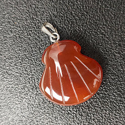 Carnelian Natural Carnelian Pendants, Shell Charms, with Platinum Plated Alloy Snap on Bails, 20x6mm