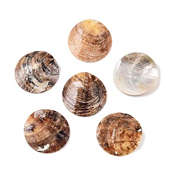 Фора 2 пуговица перламутровая, кнопка оболочки akoya, плоско-круглые, оранжевые, 33x1 мм, отверстие : 1.6 мм