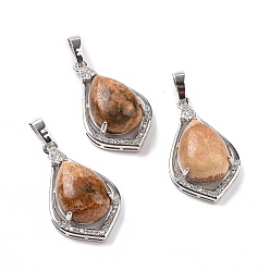 Picture Jasper Natural Picture Jasper Pendants, Teardrop Charms, with Platinum Tone Rack Plating Brass Findings, 32x19x10mm, Hole: 8x5mm