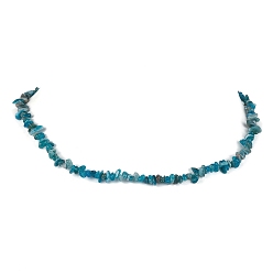 Apatite Natural Apatite Chip Beaded Necklace, Stainless Steel Color, 15.94~15.98 inch(40.5~40.6cm)