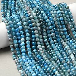 Апатит Природного апатита нитей бисера, круглые, 6 мм, отверстие : 0.7 мм, около 66 шт / нитка, 15.24 дюйм (38.7 см)