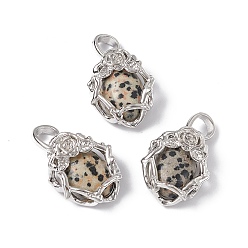 Далматинских Джаспер Природные яшмы далматин подвески, овальные амулеты, с фурнитурой в виде розы из латуни платинового цвета, без кадмия, без никеля и без свинца, 25~26x19~19.5x9~9.5 мм, отверстие : 7.5x5.5 мм