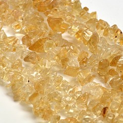 Citrine Chip Natural Citrine Beads Strands, Dyed & Heated, 5~8x5~8mm, Hole: 1mm, 34 inch
